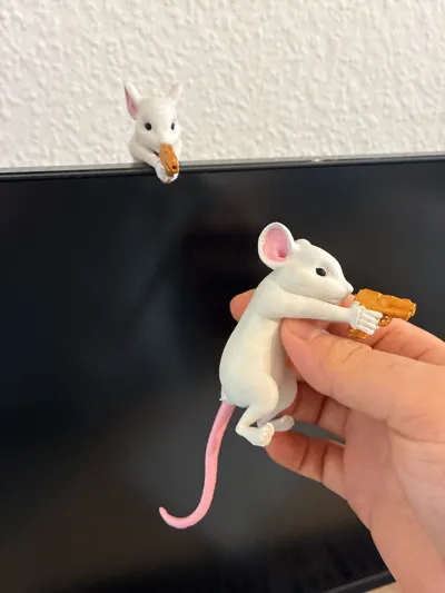 https://makerworld.bblmw.com/makerworld/comment/20260210/2953582172/dd97b7da3fbe59f8.jpg