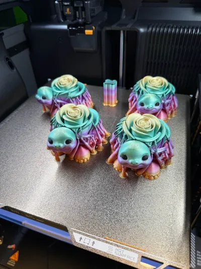https://makerworld.bblmw.com/makerworld/comment/20260210/3070384422/66afe29740dccaf4.jpg