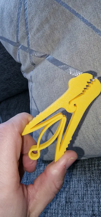 https://makerworld.bblmw.com/makerworld/comment/20260210/3192359786/62f7c3e91287fe6c.jpg