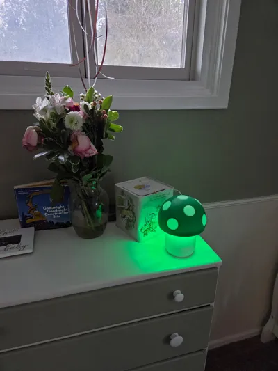 https://makerworld.bblmw.com/makerworld/comment/20260210/3440364279/43d657296bd4c253.jpg