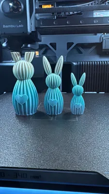 https://makerworld.bblmw.com/makerworld/comment/20260210/3458751801/4c830d0479d19047.jpeg