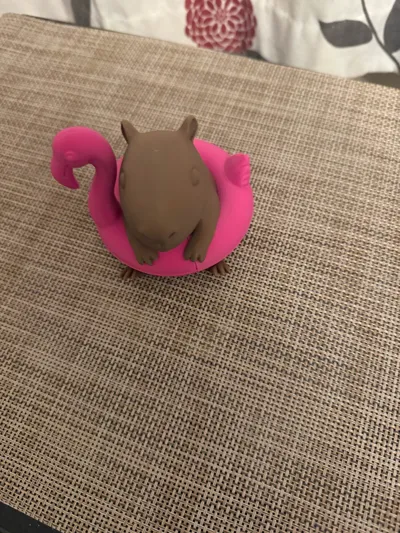 https://makerworld.bblmw.com/makerworld/comment/20260210/3644448765/9fa5ecdf24f8ddcf.jpg
