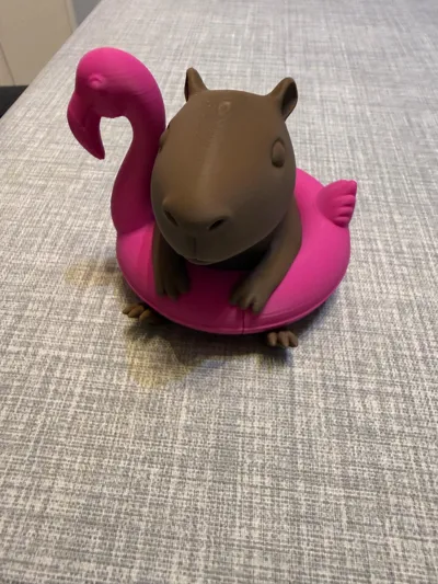 https://makerworld.bblmw.com/makerworld/comment/20260210/3644448765/d4a569a0971b84f0.jpg