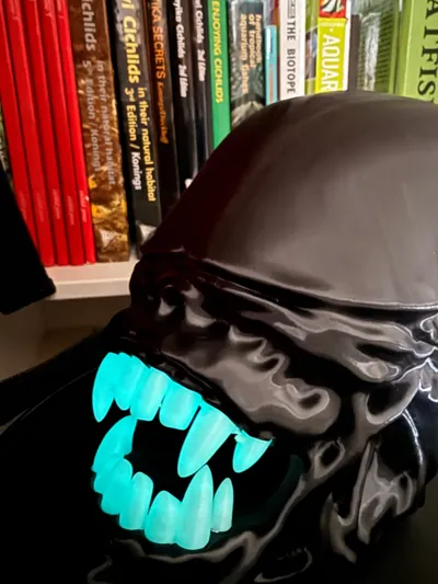 https://makerworld.bblmw.com/makerworld/comment/20260210/381977434/8e4b332bd26d9ad0.jpg