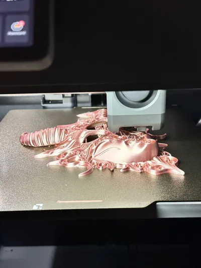 https://makerworld.bblmw.com/makerworld/comment/20260210/3861937836/167dbab7b5d58657.jpg