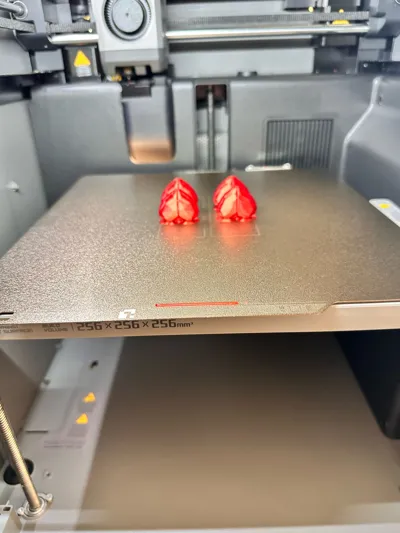 https://makerworld.bblmw.com/makerworld/comment/20260210/3861937836/f5a5dc1b775a70fe.jpg