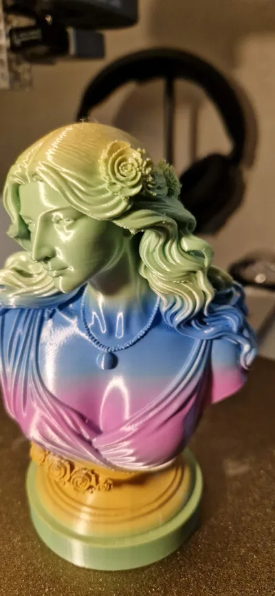 https://makerworld.bblmw.com/makerworld/comment/20260210/3935426796/b63cad477d933478.jpg