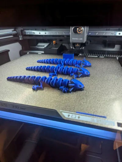 https://makerworld.bblmw.com/makerworld/comment/20260210/686449204/a1744e32063dcf40.jpg