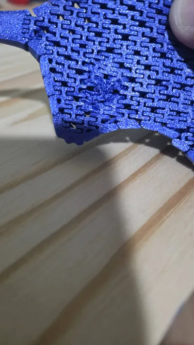 https://makerworld.bblmw.com/makerworld/comment/20260210/725402935/50a4711fa2a5216e.jpg