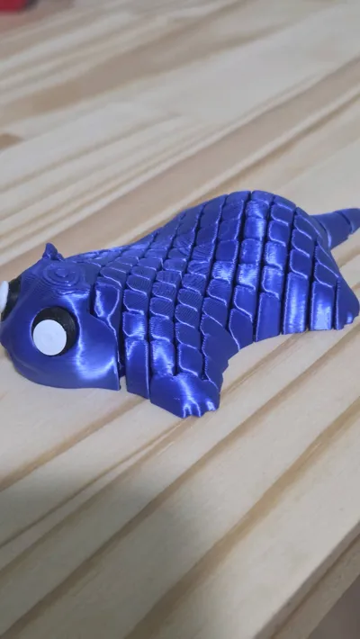 https://makerworld.bblmw.com/makerworld/comment/20260210/725402935/d2a4f967a5ff5302.jpg