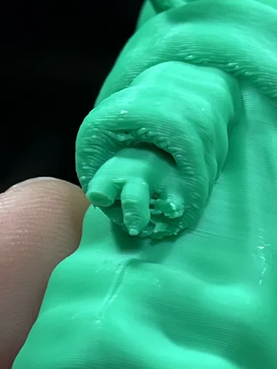 https://makerworld.bblmw.com/makerworld/comment/20260210/77083854/0db0ce408c184ce8.jpg