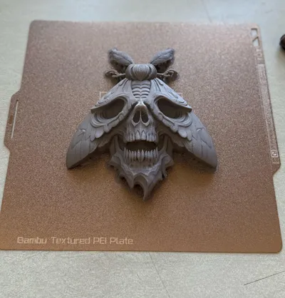 https://makerworld.bblmw.com/makerworld/comment/20260211/1037782800/07d22ec0fb76eb38.jpg