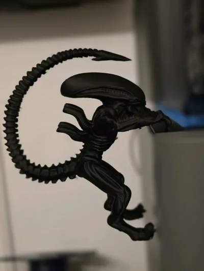 https://makerworld.bblmw.com/makerworld/comment/20260211/12283057/9703f732d0f9644b.jpg