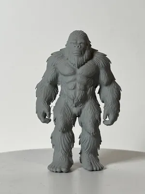 https://makerworld.bblmw.com/makerworld/comment/20260211/1306070258/fcc67c2cc41027b8.jpeg