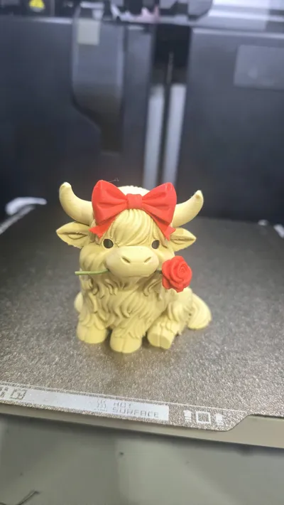 https://makerworld.bblmw.com/makerworld/comment/20260211/1341462247/2610f4065f0ee8f7.jpg