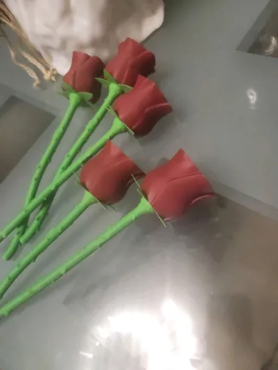 https://makerworld.bblmw.com/makerworld/comment/20260211/1393068010/f8f83780db169719.jpg