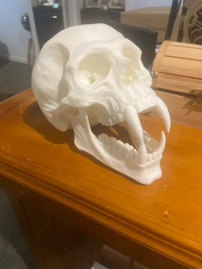 https://makerworld.bblmw.com/makerworld/comment/20260211/1483219457/a15636294e3438e4.jpg