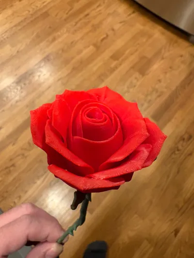 https://makerworld.bblmw.com/makerworld/comment/20260211/17689176/f6e4c154f70d9e91.jpg