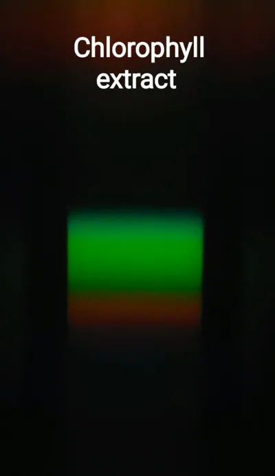 https://makerworld.bblmw.com/makerworld/comment/20260211/2031880683/34fa59ad473cd3af.jpg
