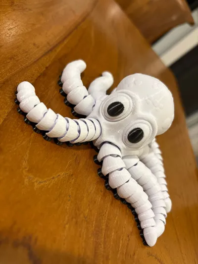 https://makerworld.bblmw.com/makerworld/comment/20260211/2078220865/2176c20bc3f46b53.jpg