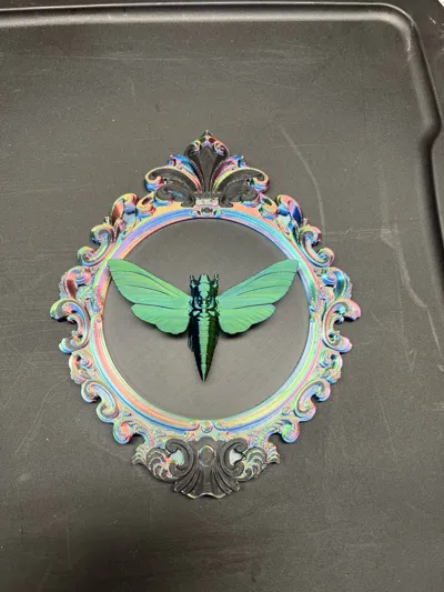 https://makerworld.bblmw.com/makerworld/comment/20260211/2551154190/18d1ddf589498032.jpg