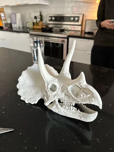 https://makerworld.bblmw.com/makerworld/comment/20260211/2668264092/eee60a87e47c9afd.jpg