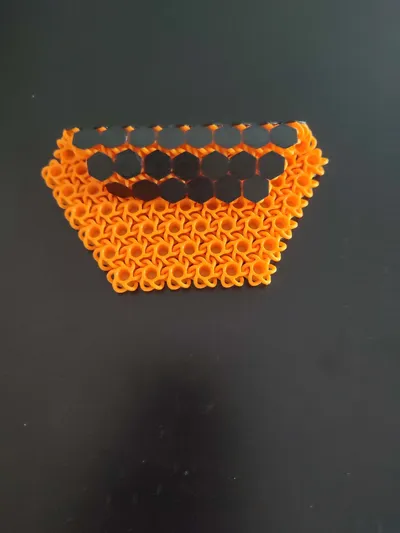 https://makerworld.bblmw.com/makerworld/comment/20260211/2897370839/de7ea2d698d62c8a.jpg