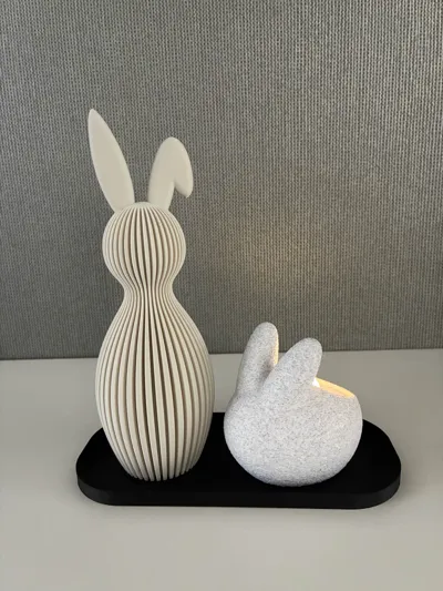 https://makerworld.bblmw.com/makerworld/comment/20260211/3033493373/95dc8c3fc3b211bb.jpg