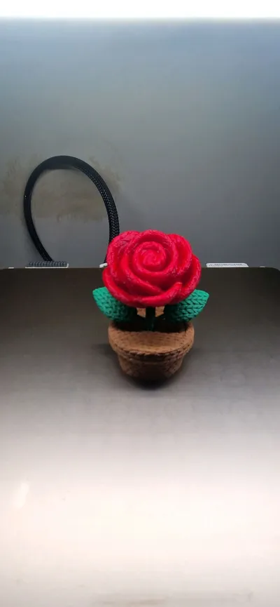 https://makerworld.bblmw.com/makerworld/comment/20260211/3316229391/f27e205ccec45bdc.jpg