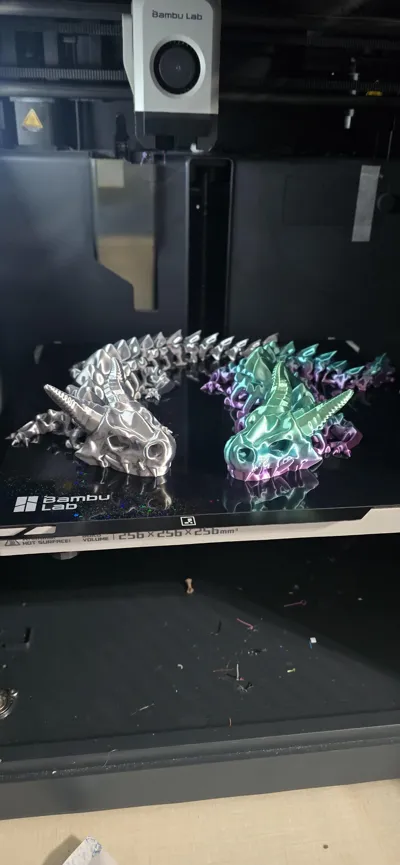 https://makerworld.bblmw.com/makerworld/comment/20260211/3320110823/a9a0381eba42a279.jpg