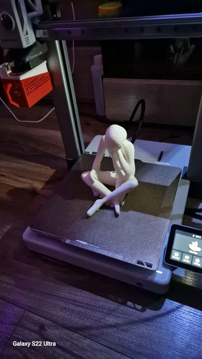 https://makerworld.bblmw.com/makerworld/comment/20260211/3441643429/6714e82b65b9c2cc.jpg