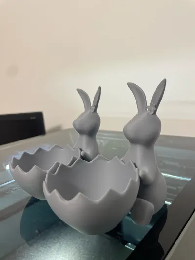https://makerworld.bblmw.com/makerworld/comment/20260211/3456758116/baa9dd5a5c18a331.jpg