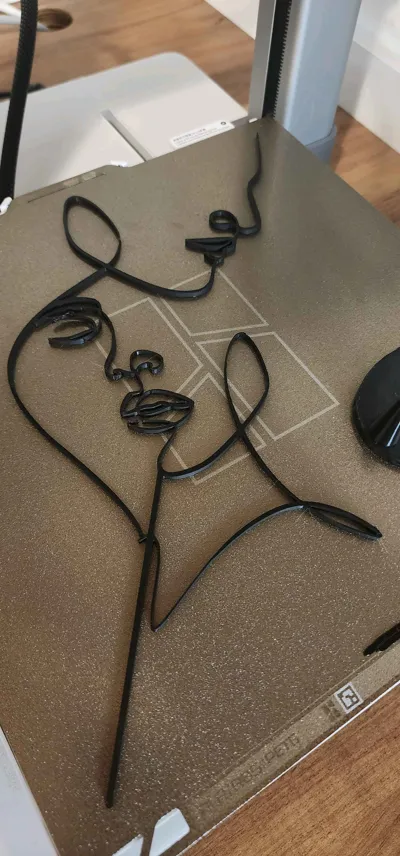https://makerworld.bblmw.com/makerworld/comment/20260211/3481160718/5cb7d637f293b1dd.jpg