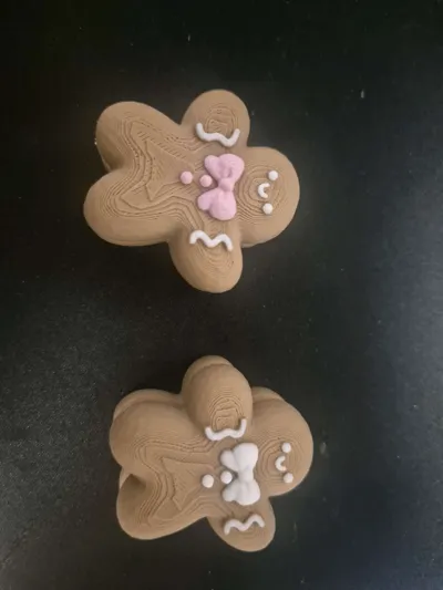 https://makerworld.bblmw.com/makerworld/comment/20260211/3901893673/4d72efca55616334.jpg