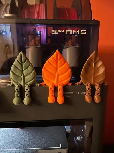 https://makerworld.bblmw.com/makerworld/comment/20260211/3987765370/4c09fb21d65fe39b.jpg