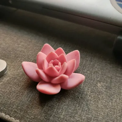 https://makerworld.bblmw.com/makerworld/comment/20260211/4063867076/c35ad9953a61c84b.jpg