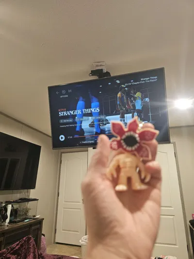 https://makerworld.bblmw.com/makerworld/comment/20260211/4171463448/1021448b1588ccc8.jpg