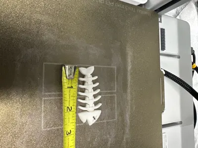 https://makerworld.bblmw.com/makerworld/comment/20260211/4200230092/11752bff0c1b42ca.jpg