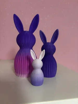 https://makerworld.bblmw.com/makerworld/comment/20260211/4234943503/e85b4abdb30a5458.jpg