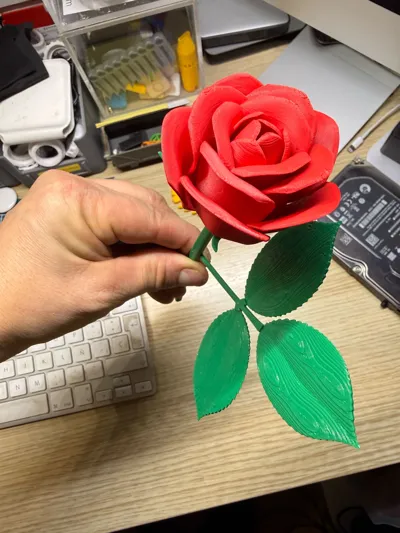 https://makerworld.bblmw.com/makerworld/comment/20260211/560426495/b0289db2e180d826.jpg