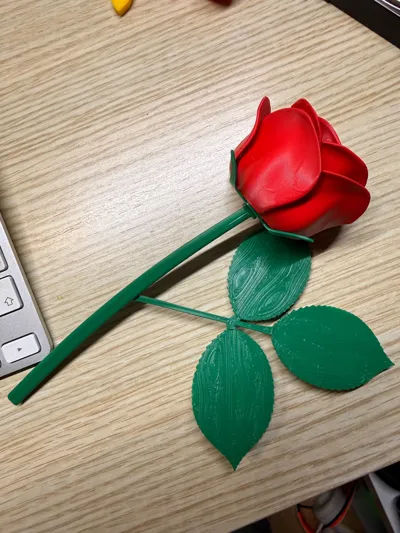 https://makerworld.bblmw.com/makerworld/comment/20260211/560426495/d96eb520235b8be2.jpg
