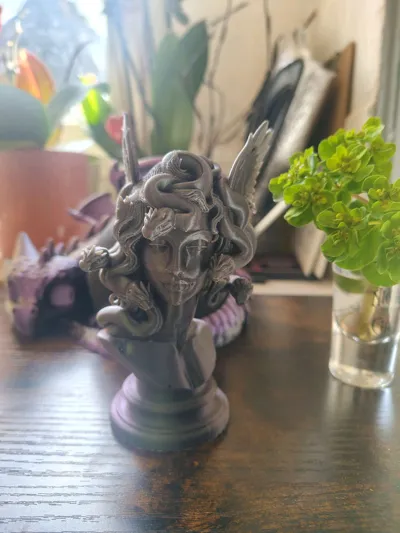 https://makerworld.bblmw.com/makerworld/comment/20260211/690947216/033dc29ae16683a5.jpg