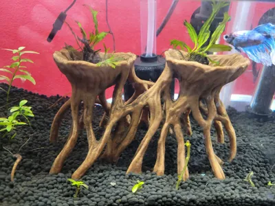 https://makerworld.bblmw.com/makerworld/comment/20260211/938994162/bd5ba4c9dbddaabe.jpg