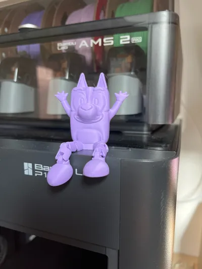 https://makerworld.bblmw.com/makerworld/comment/20260212/1091418291/1cd1798995e5615c.jpg