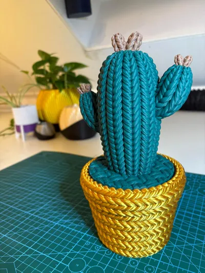 https://makerworld.bblmw.com/makerworld/comment/20260212/1351792557/96384b766e4b1dee.jpeg