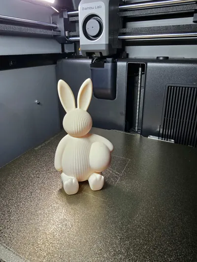 https://makerworld.bblmw.com/makerworld/comment/20260212/1395907339/8d53c70fbc97e648.jpg