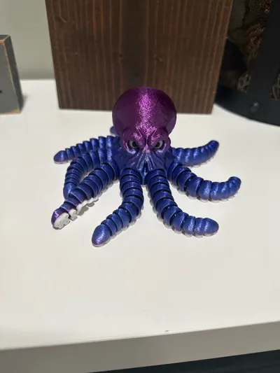 https://makerworld.bblmw.com/makerworld/comment/20260212/1434098346/0bc9b36104acd57c.jpg