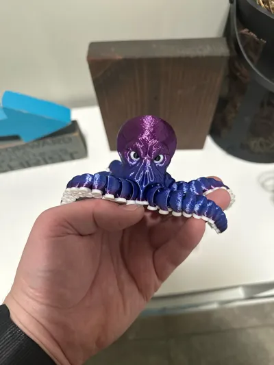 https://makerworld.bblmw.com/makerworld/comment/20260212/1434098346/da48dba750357f6e.jpg