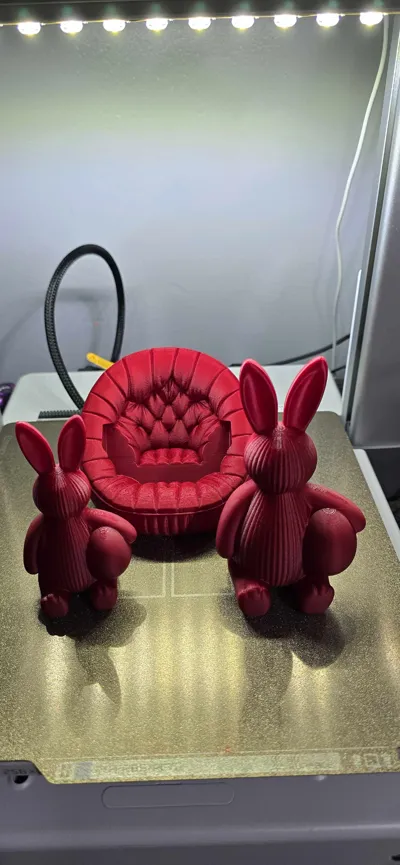 https://makerworld.bblmw.com/makerworld/comment/20260212/1605323513/8bbc4287abfe38af.jpg