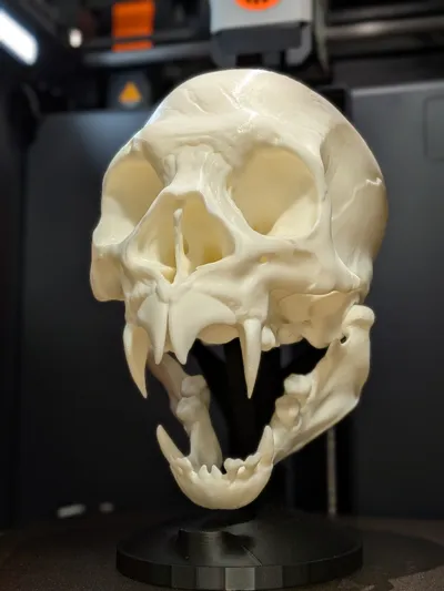 https://makerworld.bblmw.com/makerworld/comment/20260212/1618521883/5d2d3c0ec6214134.jpg